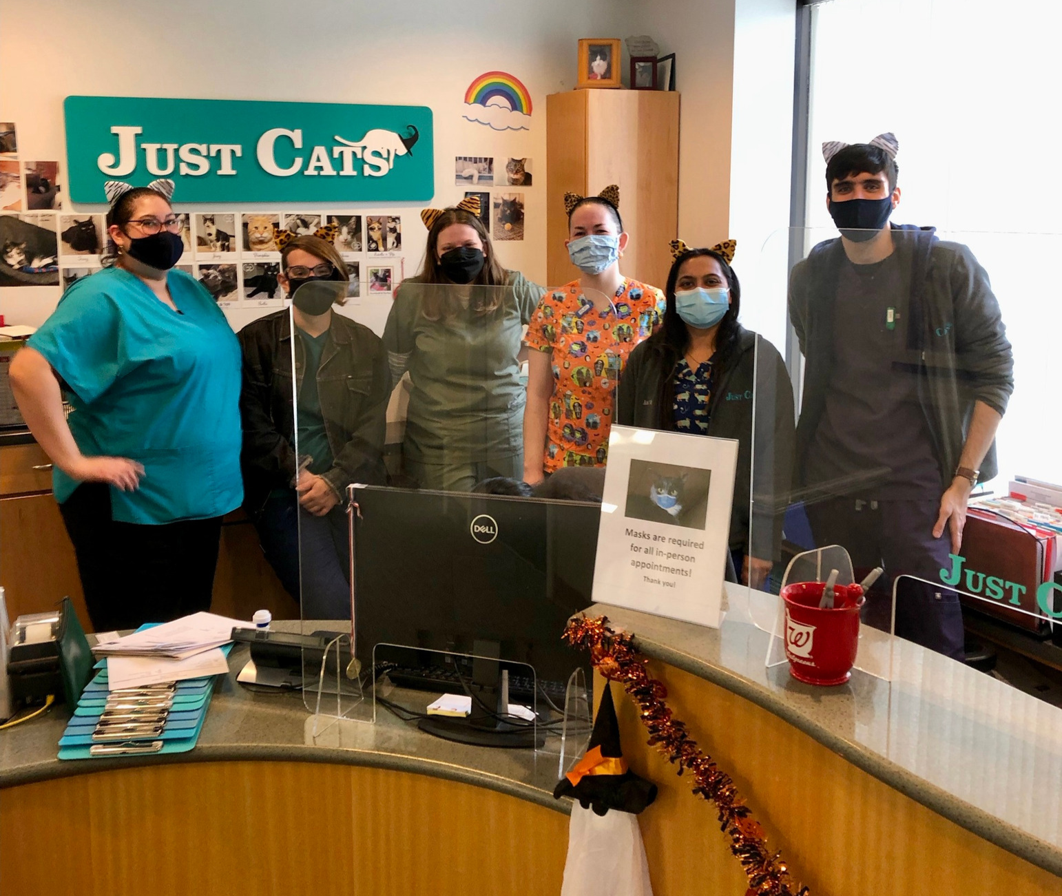 Just Cats Veterinary Hospital team - Edited