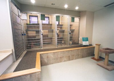 Just Cats Veterinary Hospital The Just Cats Store